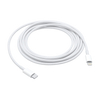 Apple Lightning to USB Cable (2 m)